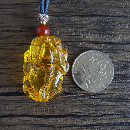 【天然正品】天然全净貔貅钱币造型琥珀 招财 纳福 吊坠项链 琥珀项链   220223NJS05 特价：880元 商品图3