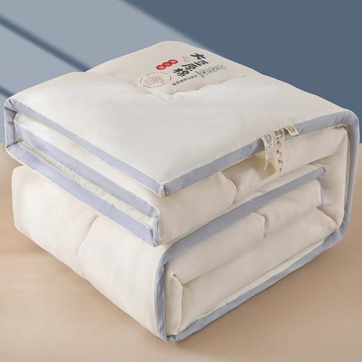 【YW】无忧购A类云柔原棉大豆纤维被春秋被加厚冬被（截单3-5天发货) 商品图2