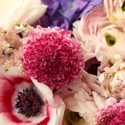 缤纷桃源 Wonderland 商品图2