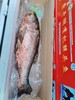 一鱼一码胖头鱼一条（6斤左右） 商品缩略图2
