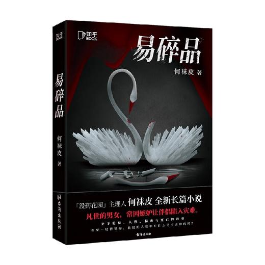 易碎品 何袜皮 著 小说 商品图4