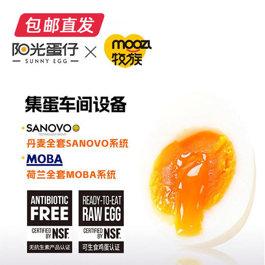 阳光蛋仔-可生食Omega-3鲜鸡蛋（包邮直发）ZB 商品图2