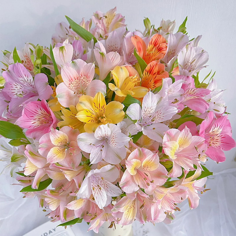 水仙百合 10支/扎 以实物为准 云南基地发货（价格已包含包装费用） 运费以实际为准，多退少补。