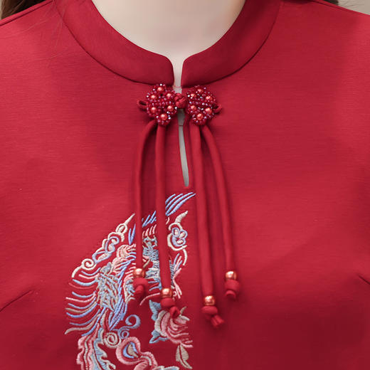 QYM-3293绣花国风修身时尚连衣裙2024年新款半高领长袖时髦优雅洋气A字裙 商品图3