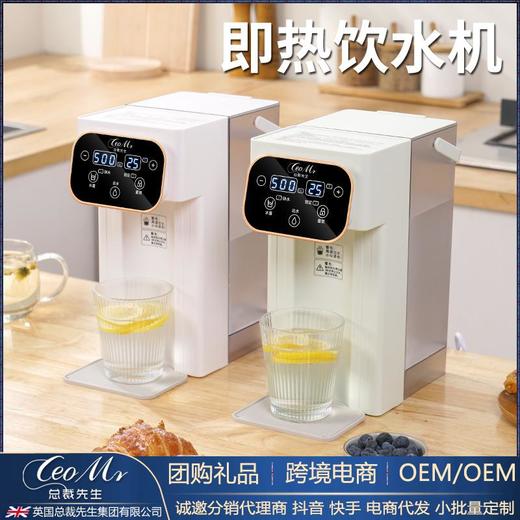 速热烧水壶冲奶泡茶直饮水机小型家用即热饮水机110V礼品 商品图0