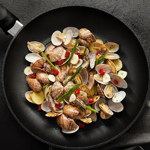 菲仕乐小金刚经典系列不粘锅炒锅24CM 商品图1