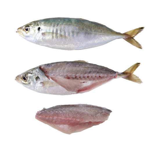 港岛姑娘 巴浪鱼海捕深海刺巴鱼池鱼竹夹鱼500g/盒4-5条活冻 商品图5