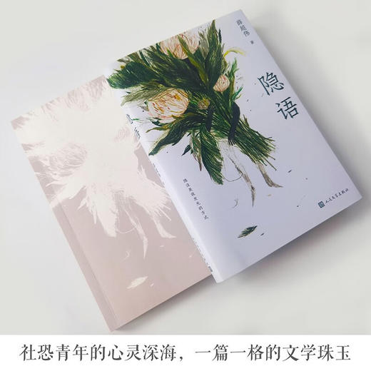 隐语 薛超伟 中短篇小说集 商品图2