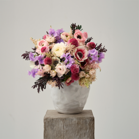 缤纷桃源 Wonderland