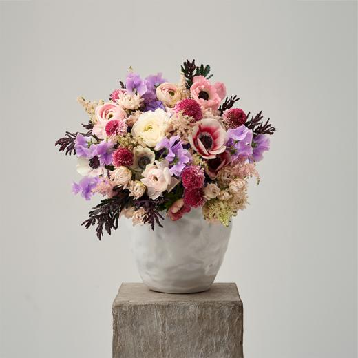 缤纷桃源 Wonderland 商品图0