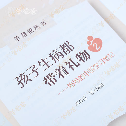 系列书【孩子生病都带着礼物2】杨千栋推荐羊爸爸丛书|你和孩子之间美好的礼物 商品图4