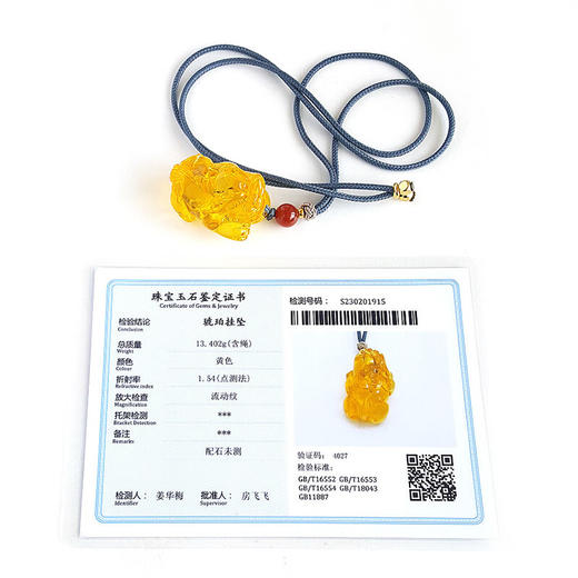 【天然正品】天然全净貔貅钱币造型琥珀 招财 纳福 吊坠项链 琥珀项链   220223NJS05 特价：880元 商品图1
