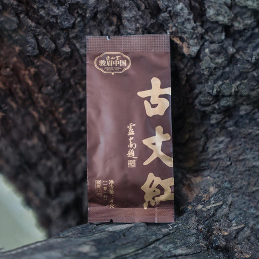 正山堂 古丈红一芽一叶礼盒装 特级正宗湖南骏眉红茶叶送礼长辈120g 商品图3