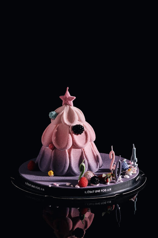 2024跨年莓果树 商品图1