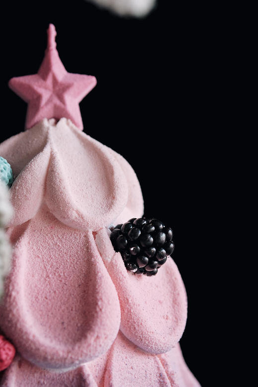 2024跨年莓果树 商品图3