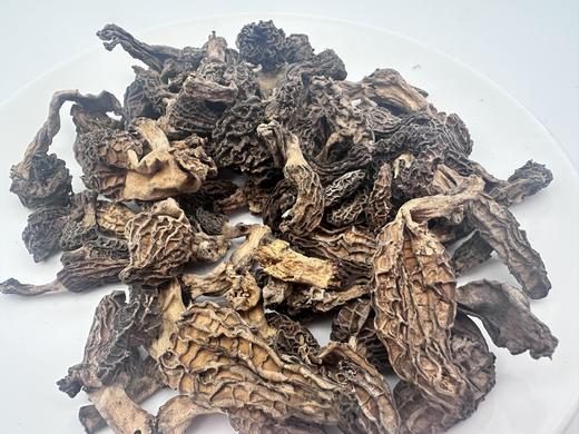天然羊肚菌干品 商品图4