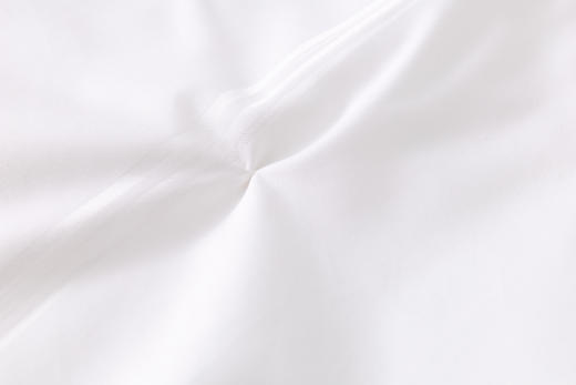 【100%蚕丝被 需定制】SCHIESSER舒雅生活臻致面料100% 填充长丝：桑蚕丝 净重2斤提花桑蚕丝被（其它净重可定制）12050023020013(4) 商品图2