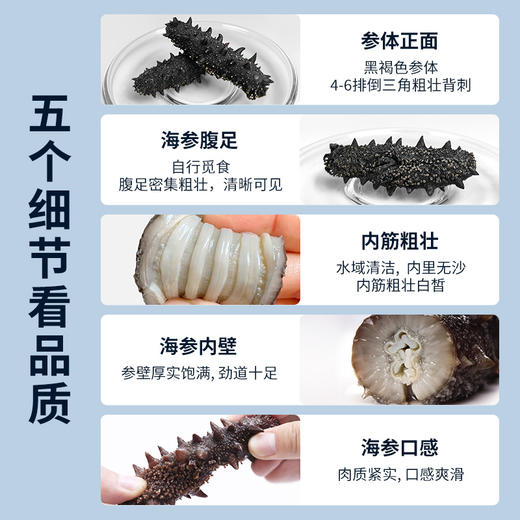 【淡干海参礼盒100g】 送礼佳品严选正宗辽参 自然生长层层把关个头匀称 商品图4