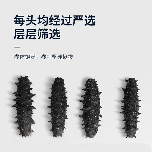 【淡干海参礼盒100g】 送礼佳品严选正宗辽参 自然生长层层把关个头匀称 商品图6