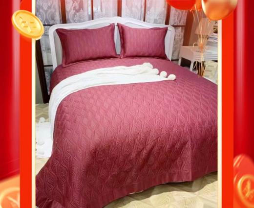 5F   罗曼罗兰知庭长绒棉床盖三件套240*250cm 商品图0