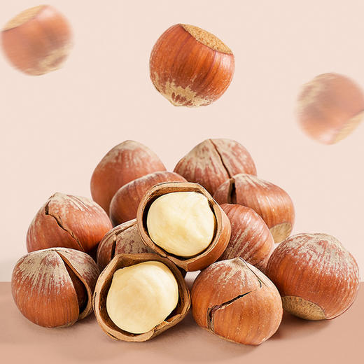 【严选】绿帝开口榛子500g（厂家直发） 商品图1
