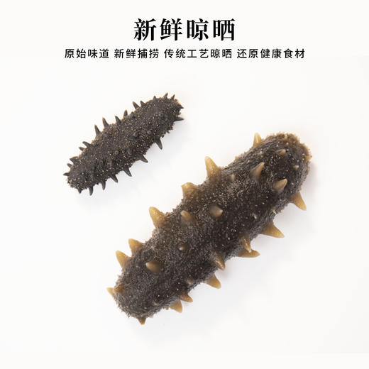 即食辽刺参🎁大连海参辽刺参高营养开袋即食8-10头/500g 商品图5
