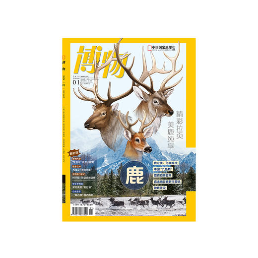 博物杂志 2024年1月刊  鹿 商品图1