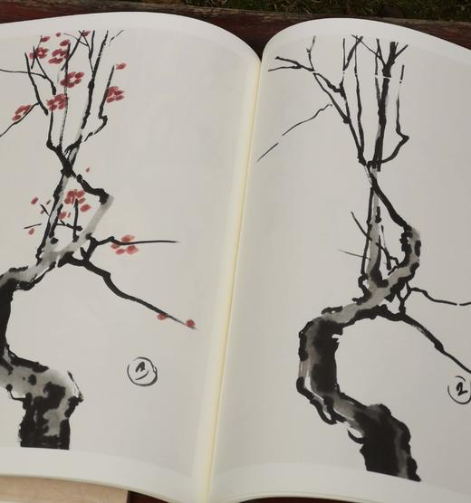 《徐悲鸿课徒画稿》，8开，两册函套装，徐悲鸿著，荣宝斋出版社2008年一版一印，定价198，售价79元。 商品图13