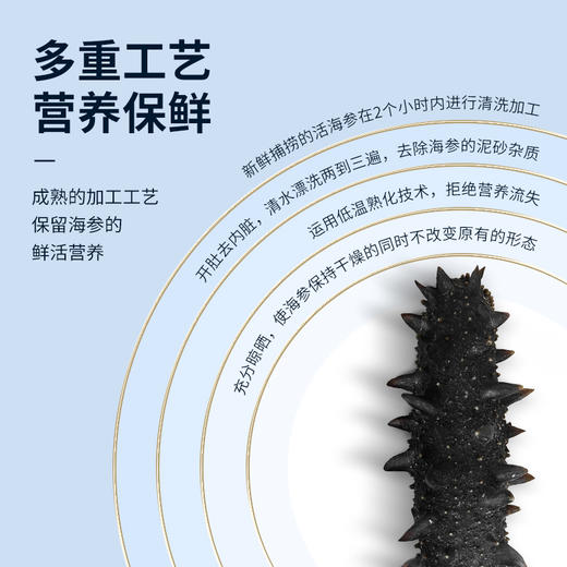 【淡干海参礼盒100g】 送礼佳品严选正宗辽参 自然生长层层把关个头匀称 商品图7