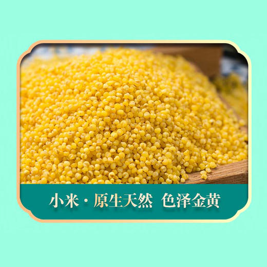 【严选】绿帝自然优谷A款 2.71kg（厂家直发） 商品图5