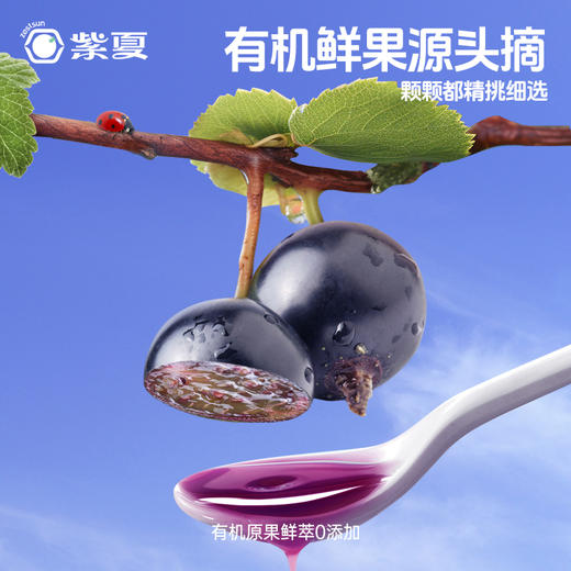 紫夏有机黑加仑原浆饮品300ml/盒 商品图0