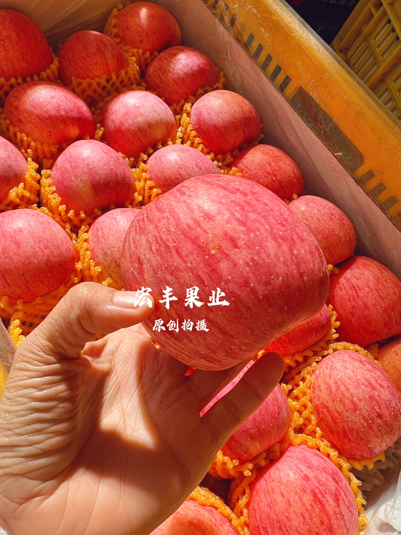 产地直发洛川苹果 条纹漂亮 口感甜脆 活动价9.8元一斤