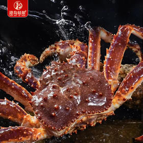 港岛姑娘 深海帝王蟹 个肥体大 肉鲜味美 一蟹多吃活冻