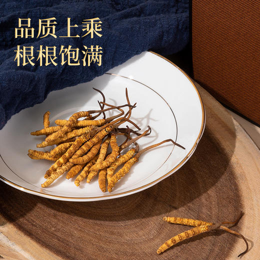 【冬虫夏草礼盒装】 根根甄选 虫体肥大饱满色泽金黄多层防护独立管装 4根/克 送礼佳品 商品图1