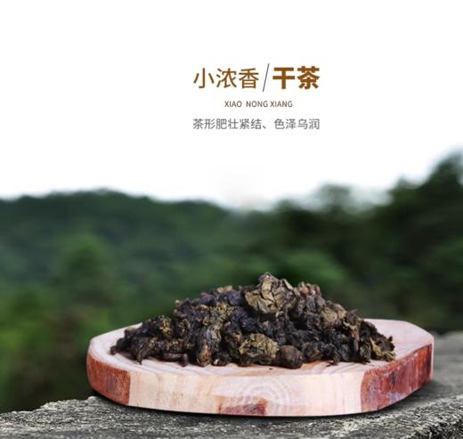 【特惠】八马安溪铁观音（小浓香）500g 商品图1