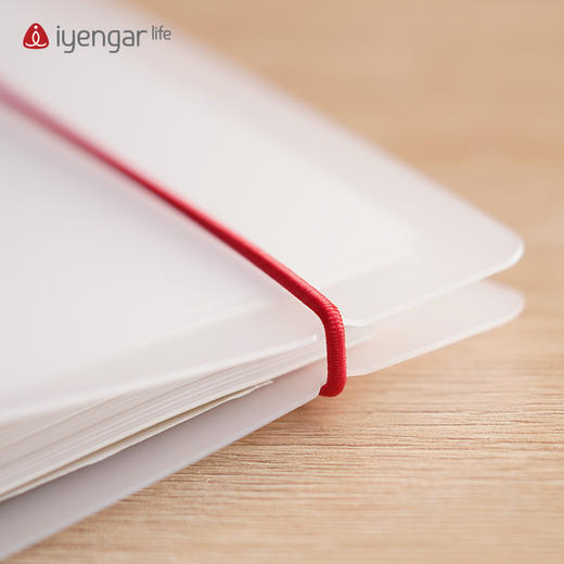 艾扬格文创A5活页笔记本（新版）道林纸 艾扬格大师语录   艾扬格体式名称体式图例 商品图7