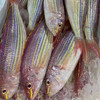 【野生网捕红杉鱼】纯野生（一斤3-5条）_拖网捕捞，价格实惠_妈鲜网精挑细选 商品缩略图0