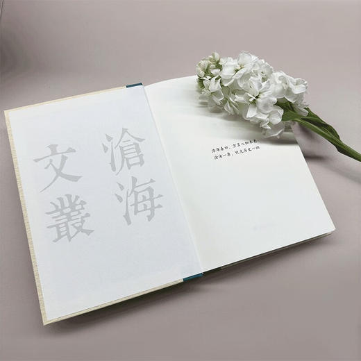 西潮与新潮 蒋梦麟 著 传记 商品图3