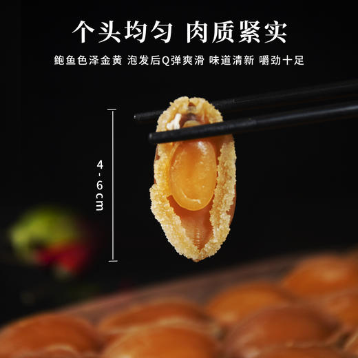 港岛姑娘 新鲜鲍鱼干淡晒无盐大鲍鱼海鲜干货佛跳墙食材煲汤粥 1两/袋=15头 商品图4