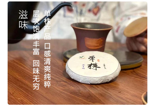 生普·单株 | 【2023年新茶】 叶舞地  霸卡单株 商品图5