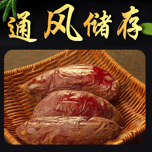 【报盟新年献礼】中国农科院出品  正宗黄金蜜48°香薯   商品图3