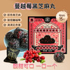 香港宝芝林 水果黑芝麻丸 大盒装135g/盒 商品缩略图0