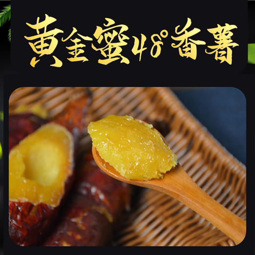 【报盟新年献礼】中国农科院出品  正宗黄金蜜48°香薯   商品图1