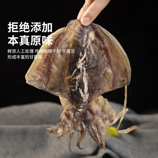 港岛姑娘 海钓新鲜大墨鱼干淡晒无盐目鱼干大乌贼干干货煲汤送礼优选 半斤4-6只 商品图3