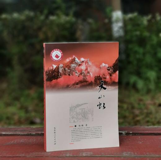 绝版！！《天山虹》，平装，32开，杨镰著，新疆人民出版社2016年一版二印，441页，定价36，略溢价46元。 商品图0