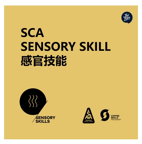 SCA 感官技能 中级+CVA 双证班【张凌老师+Vincent老师 双Q导师联合授课】