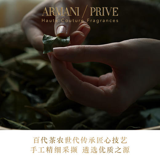 【保税仓】阿玛尼玉龙茶香香水 100ml 商品图2