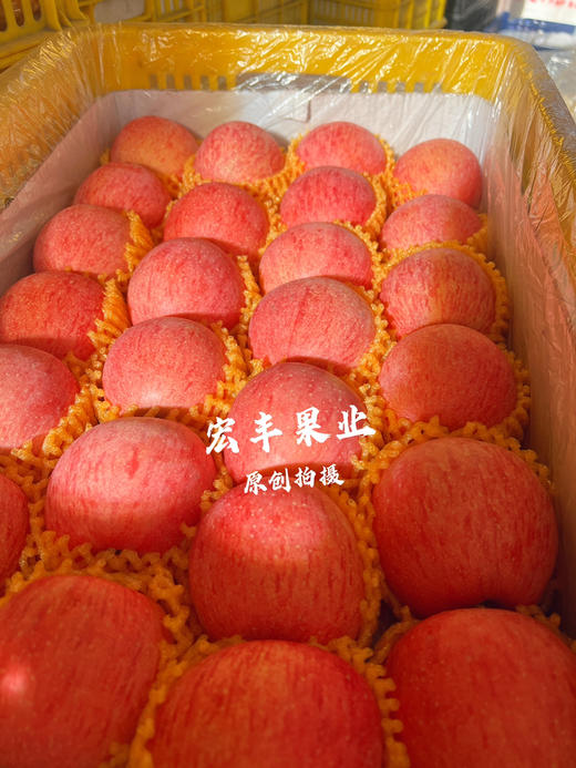 产地直发洛川苹果 条纹漂亮 口感甜脆 活动价9.8元一斤 商品图10