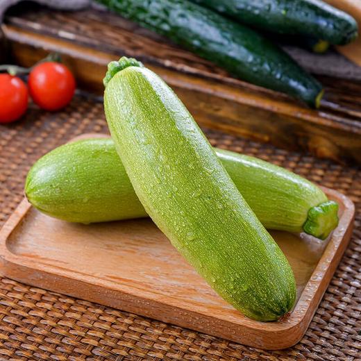 本地三月瓜500g 西葫芦 商品图2