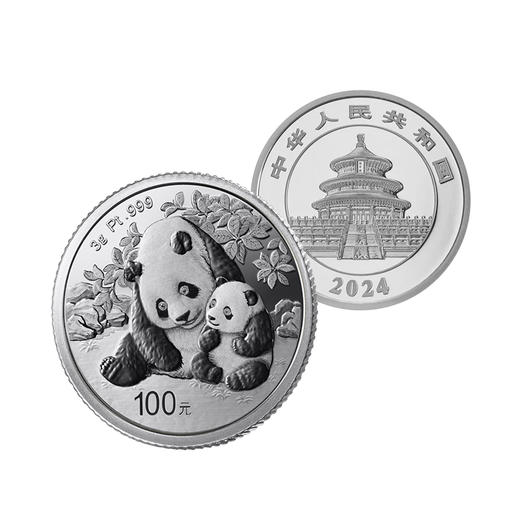 【铂金币】2024年熊猫铂金纪念币·原装原盒 商品图2